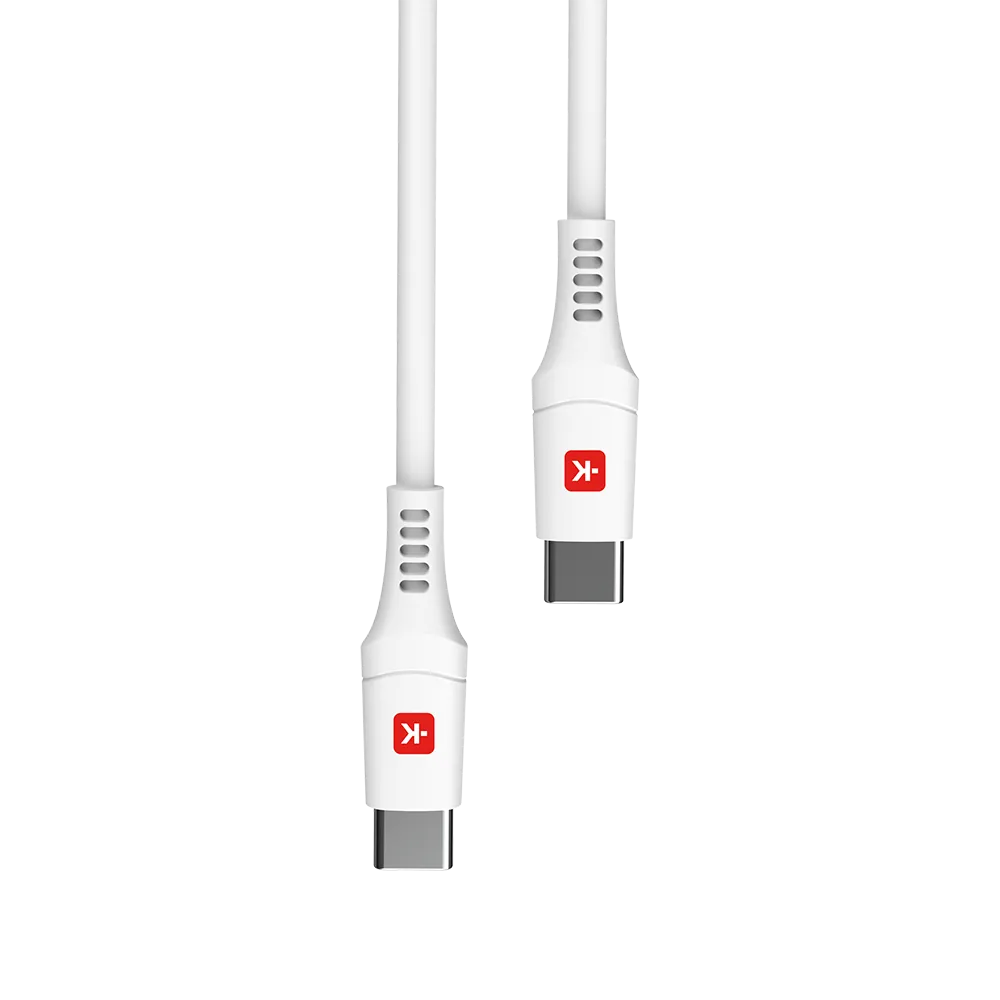 Euro USB Charger AC45PD with USB C cable