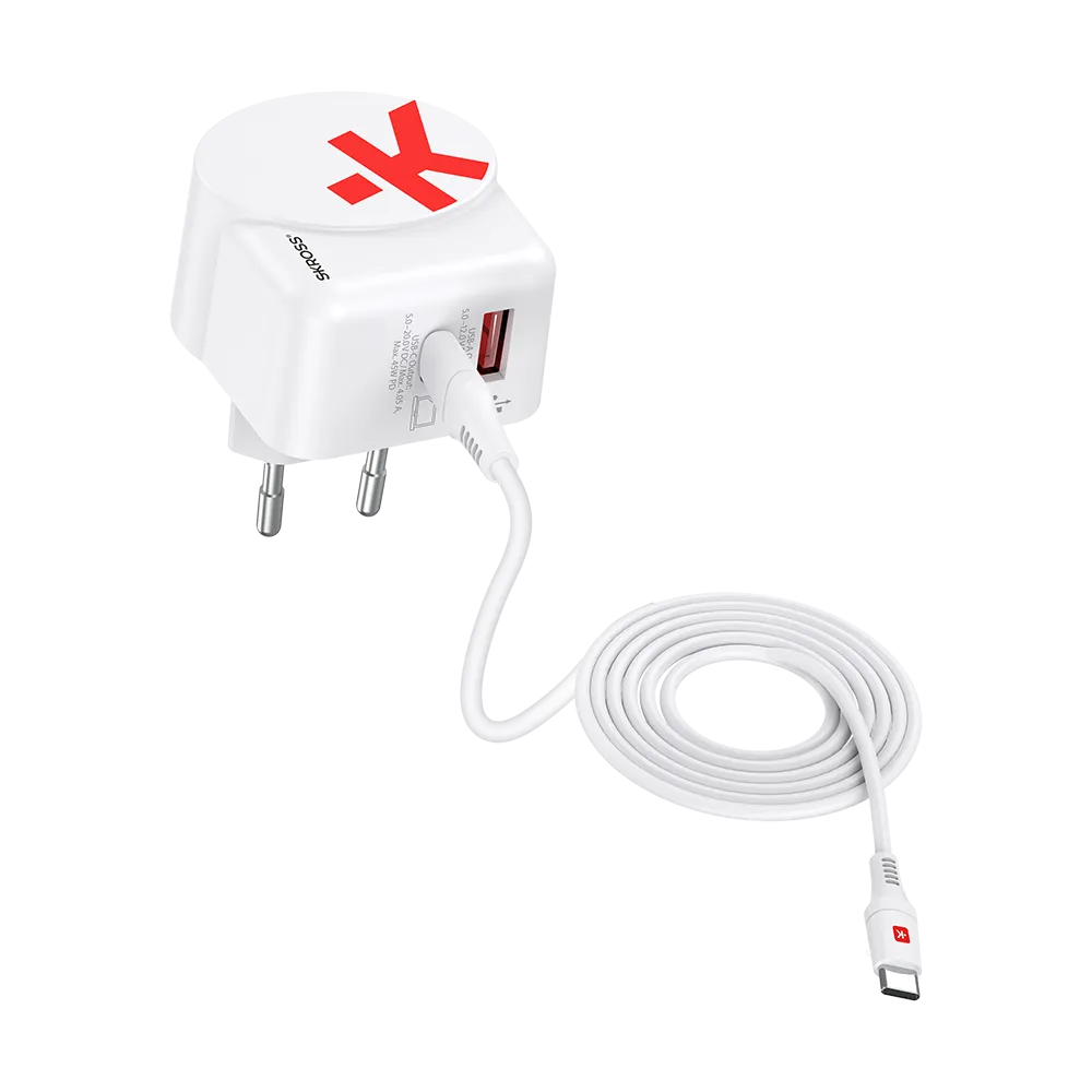 Euro USB Charger AC45PD with USB C cable