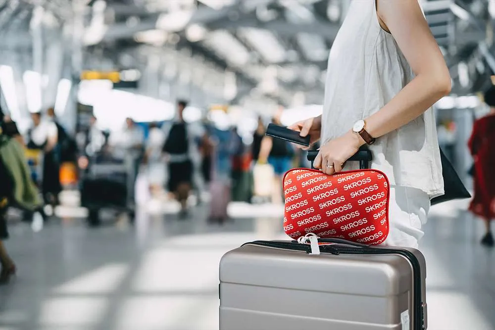 Mini Travel Pillow